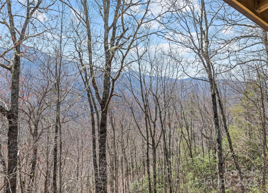 173 Blizzard Rg Maggie Valley, NC 28751