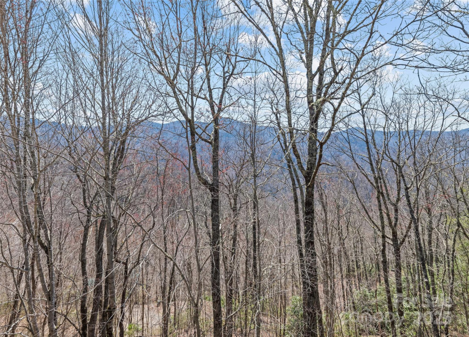 173 Blizzard Rg Maggie Valley, NC 28751