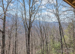 173 Blizzard Rg Maggie Valley, NC 28751