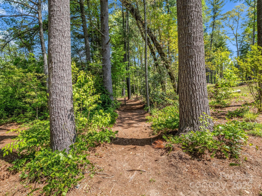 1351 Chanteloup Dr Hendersonville, NC 28739