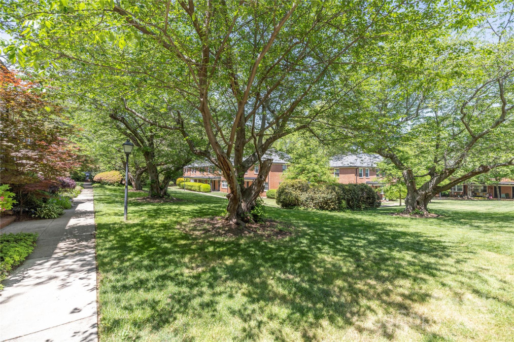 212 Laurel Ave Charlotte, NC 28207