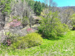 15211 Nc 209 Hw Hot Springs, NC 28743