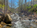 15211 Nc 209 Hw Hot Springs, NC 28743