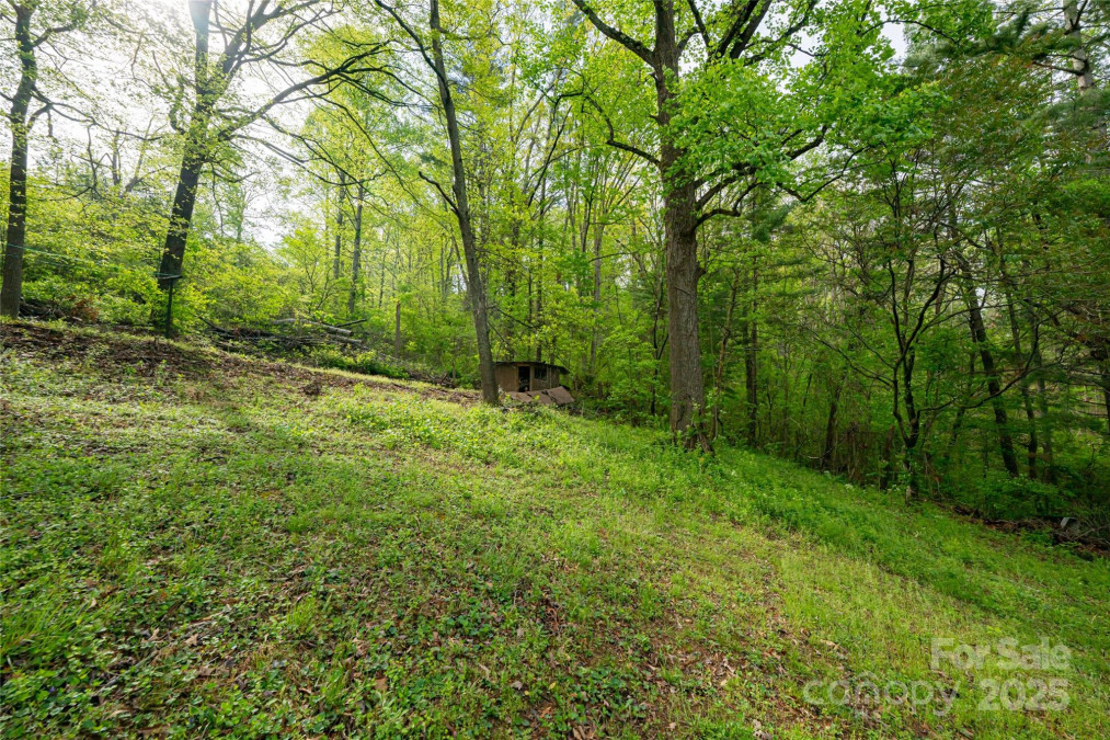 25 Coal Creek Ln Weaverville, NC 28787