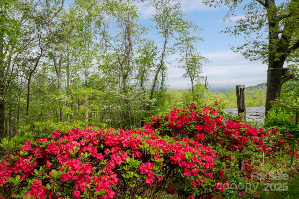 25 Coal Creek Ln Weaverville, NC 28787