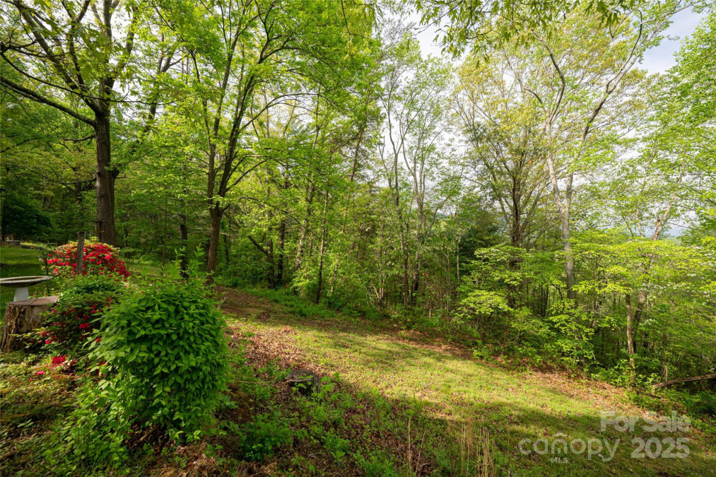 25 Coal Creek Ln Weaverville, NC 28787