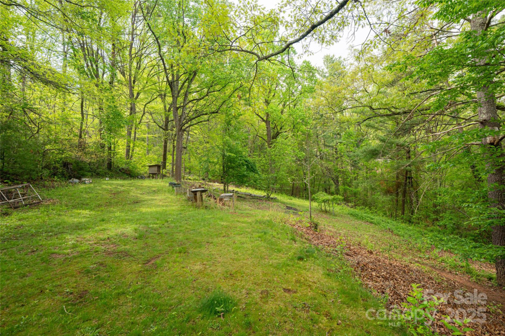 25 Coal Creek Ln Weaverville, NC 28787