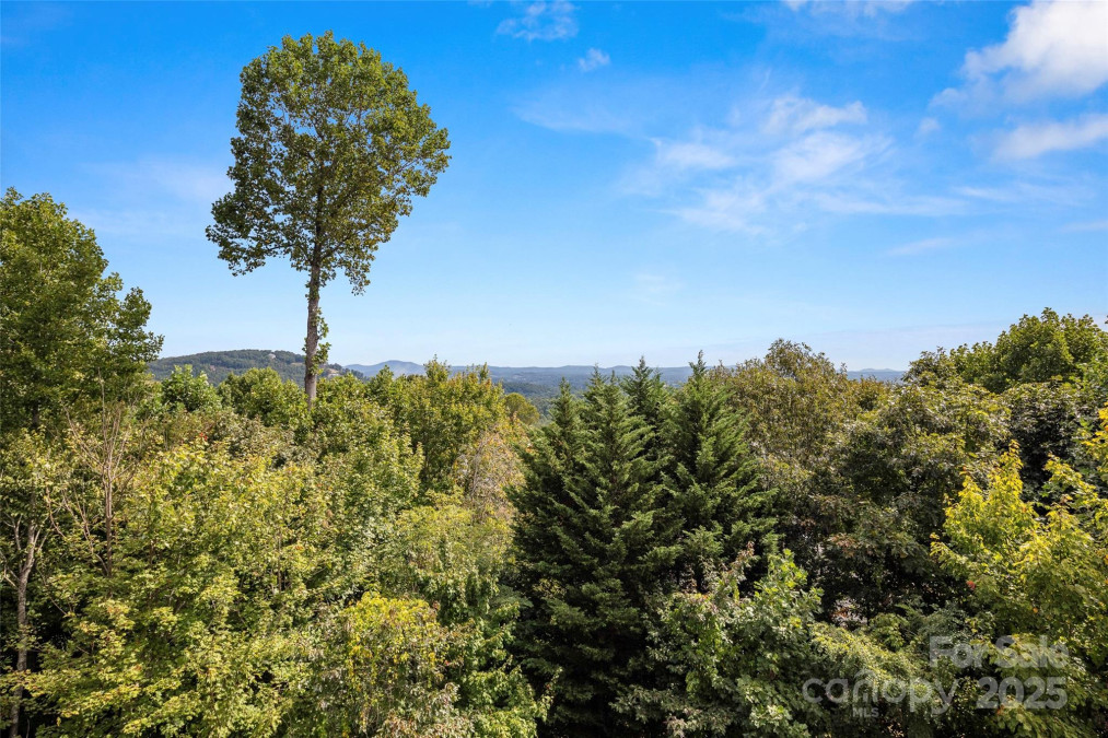 301 Governors Dr Hendersonville, NC 28791