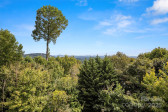 301 Governors Dr Hendersonville, NC 28791