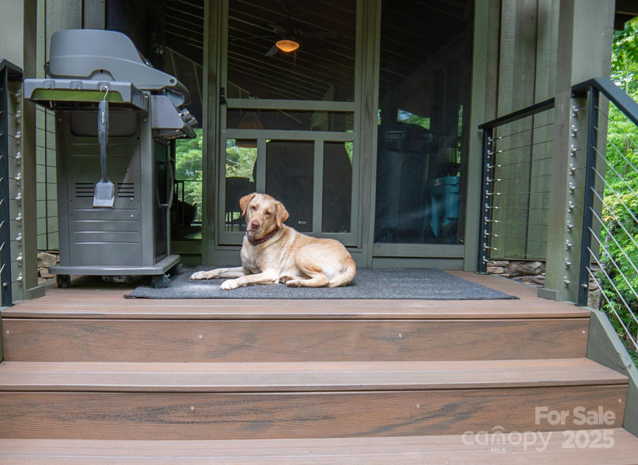 163 Cabin Bluff Dr Marion, NC 28752