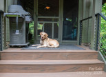 163 Cabin Bluff Dr Marion, NC 28752