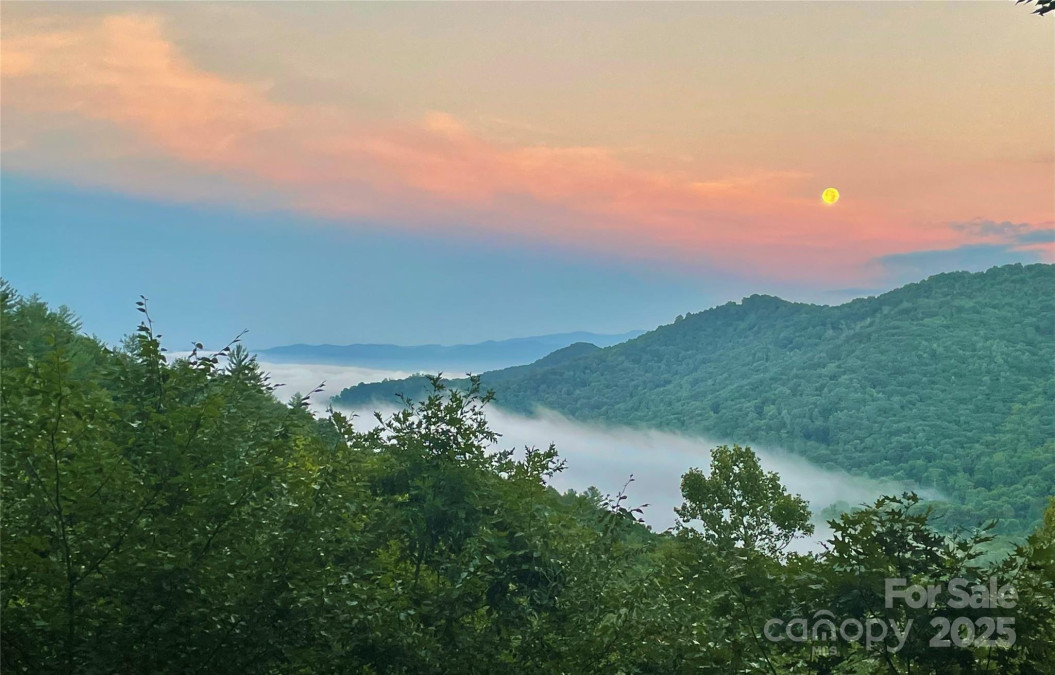 605 Upper Sondley Dr Asheville, NC 28805