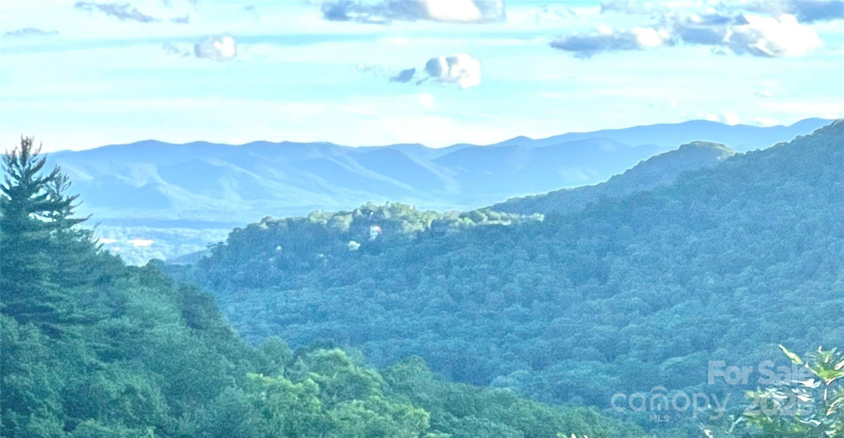 605 Upper Sondley Dr Asheville, NC 28805