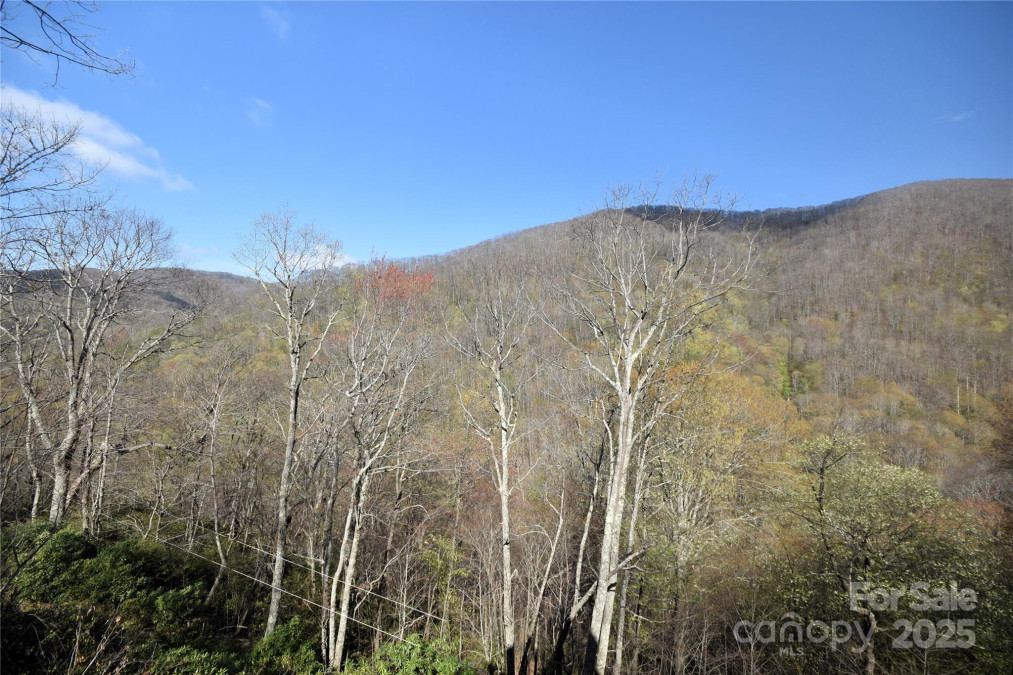 601 Tater Patch Rd Maggie Valley, NC 28751