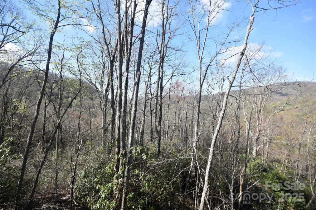 601 Tater Patch Rd Maggie Valley, NC 28751