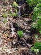 601 Tater Patch Rd Maggie Valley, NC 28751