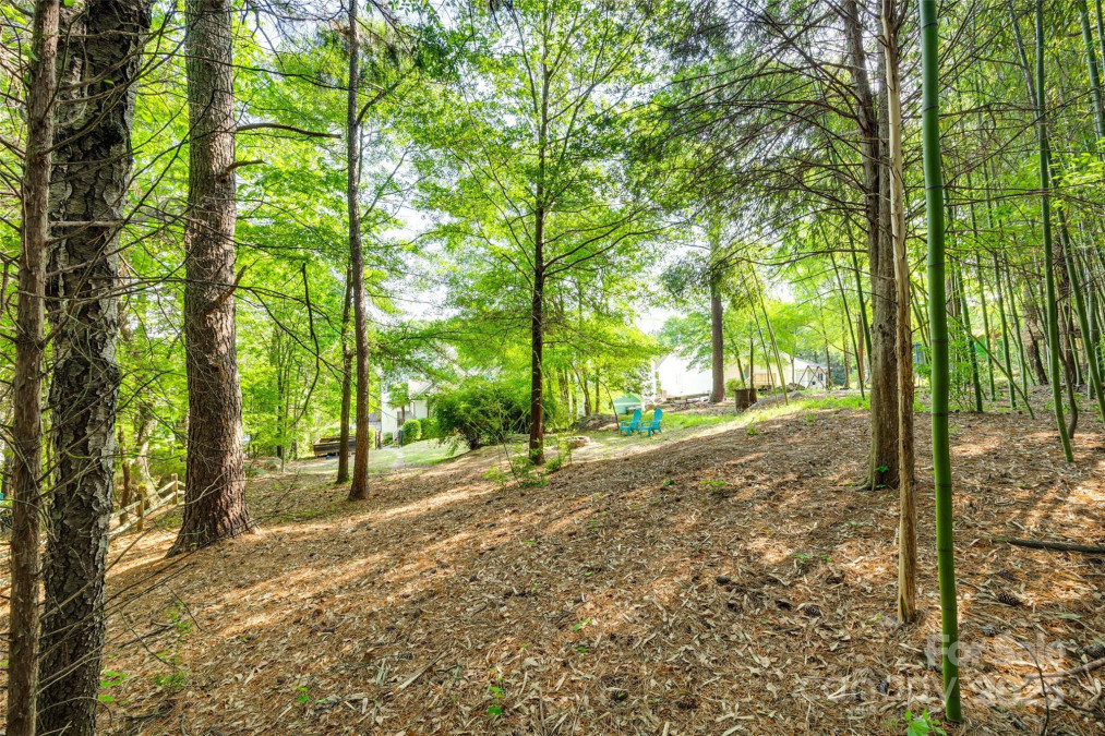 117 Mills Ln Fort Mill, SC 29708