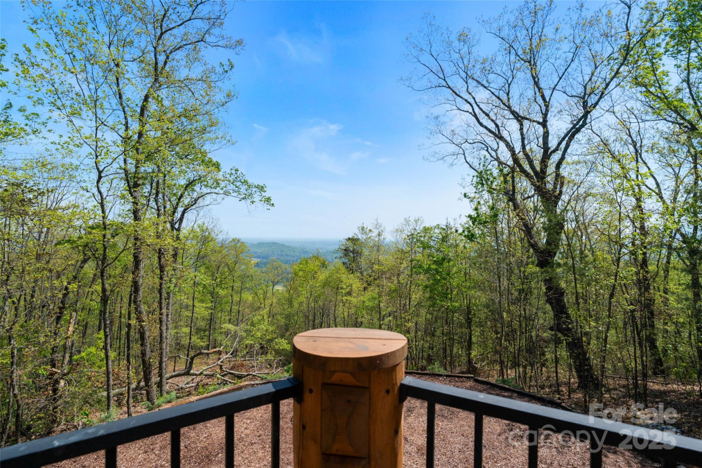 153 Chetan Way Lake Lure, NC 28746