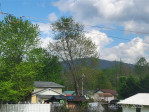 67 First St Waynesville, NC 28786