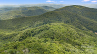 75 Donica Vw Swannanoa, NC 28778