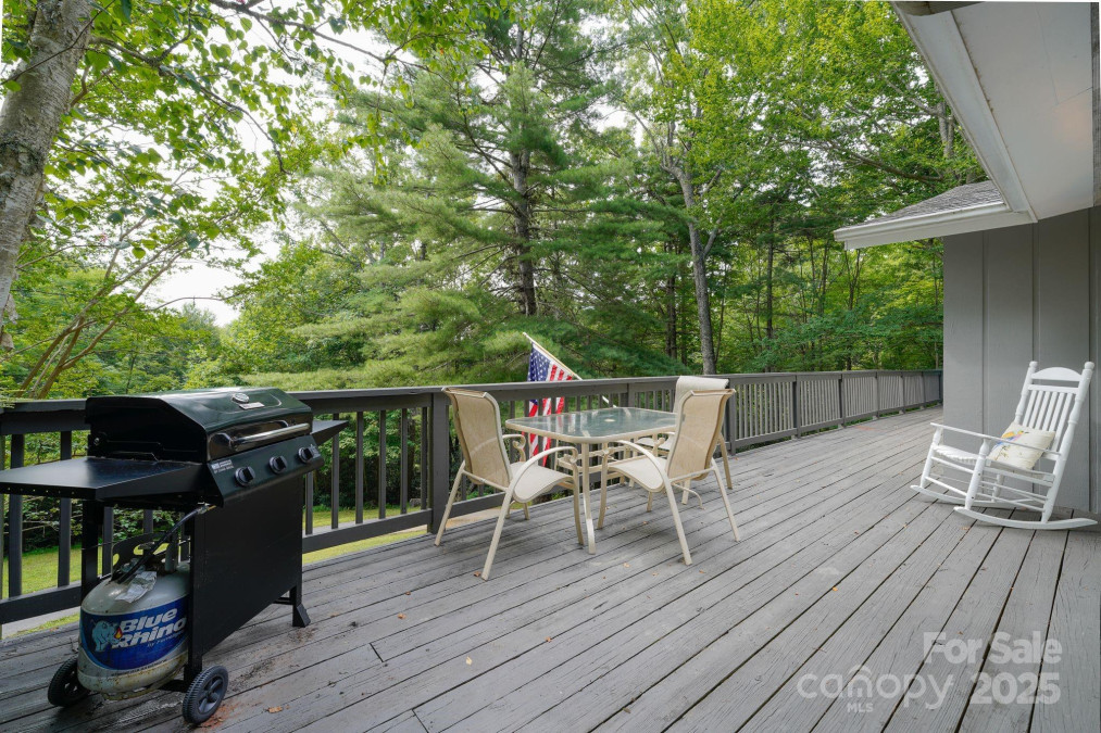 1360 Glen Cannon Dr Pisgah Forest, NC 28768