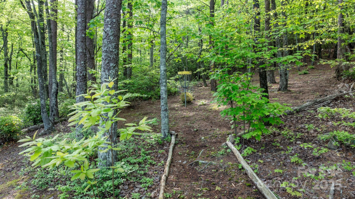 6618 Wards Gap Rd Casar, NC 28020
