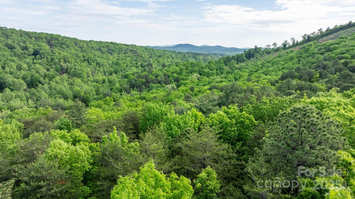 6618 Wards Gap Rd Casar, NC 28020