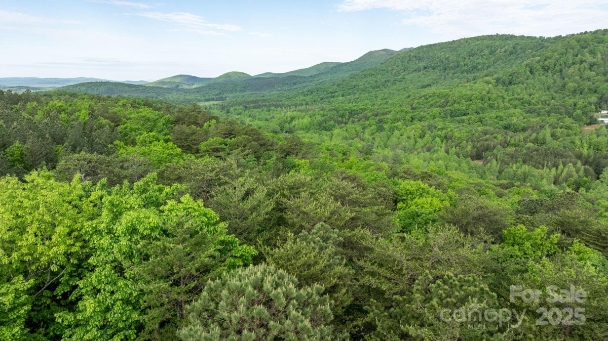 6618 Wards Gap Rd Casar, NC 28020