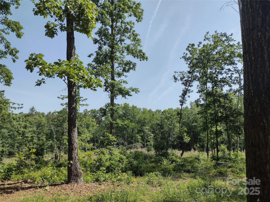 1820 Trinity Church Rd Monroe, NC 28112