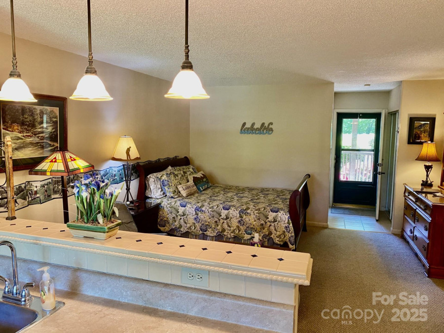 160 Whitney Blvd Lake Lure, NC 28746