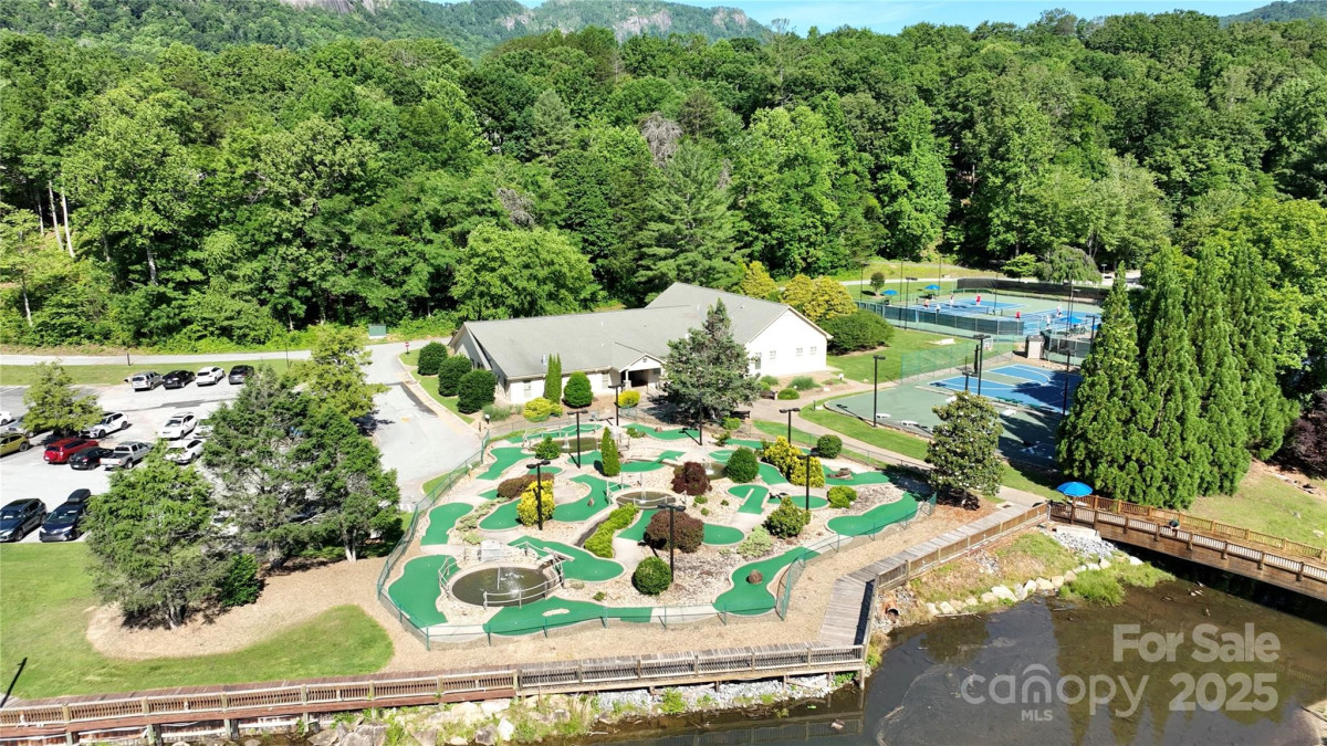 160 Whitney Blvd Lake Lure, NC 28746