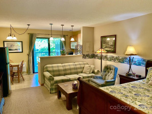 160 Whitney Blvd Lake Lure, NC 28746