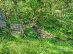 315 Morgan Branch Rd Leicester, NC 28748