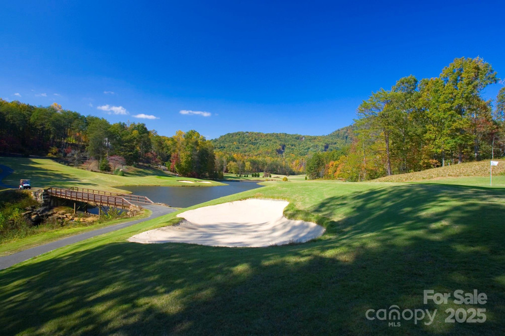 119 Rome Ct Lake Lure, NC 28746