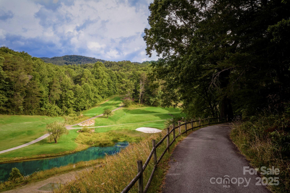 119 Rome Ct Lake Lure, NC 28746