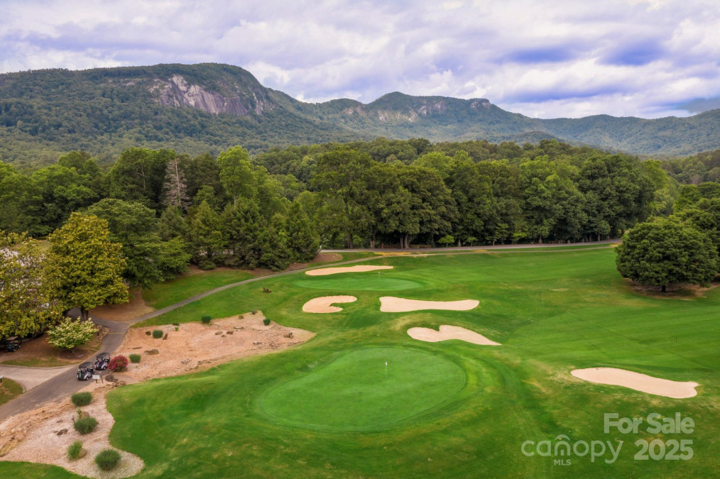 119 Rome Ct Lake Lure, NC 28746