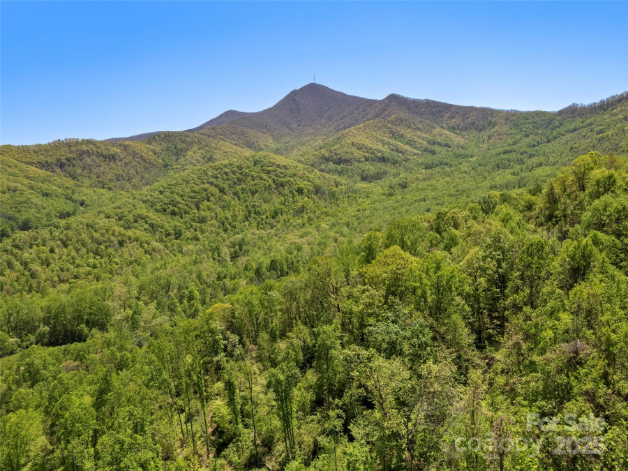 44 Sutton Knob Rd Candler, NC 28715