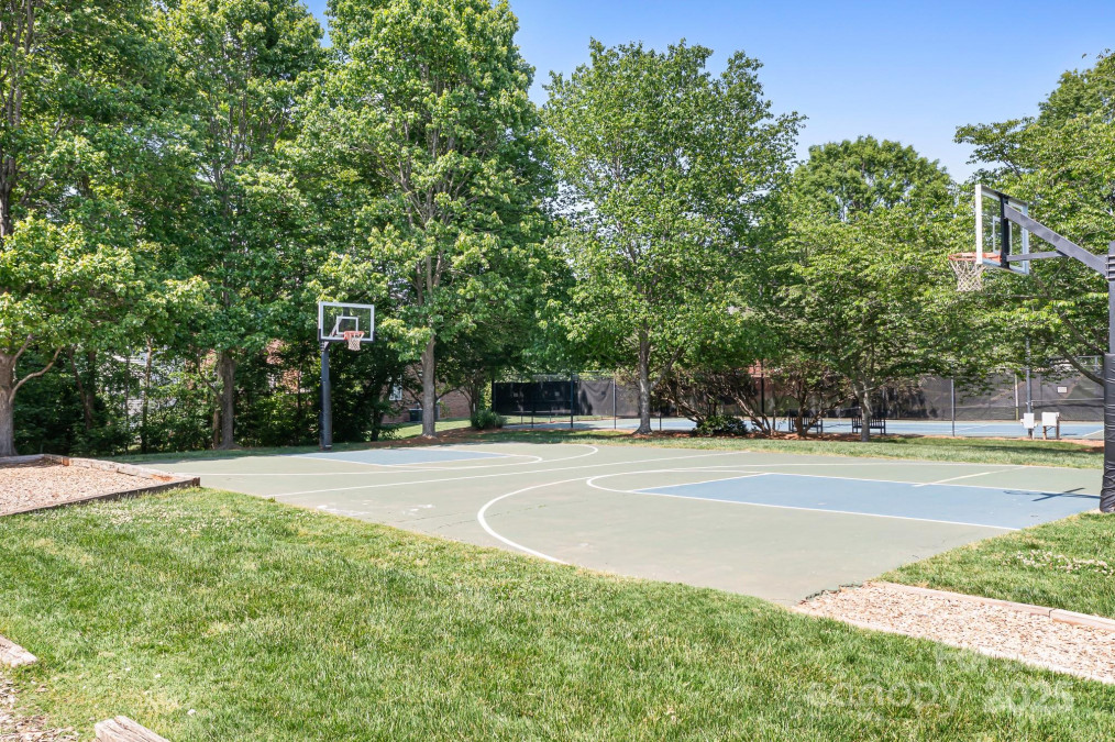 7525 Blackgum Falls Ct Huntersville, NC 28078