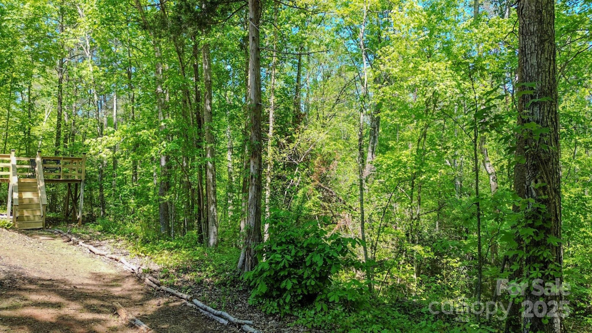 164 Forest Ridge Dr Rutherfordton, NC 28139