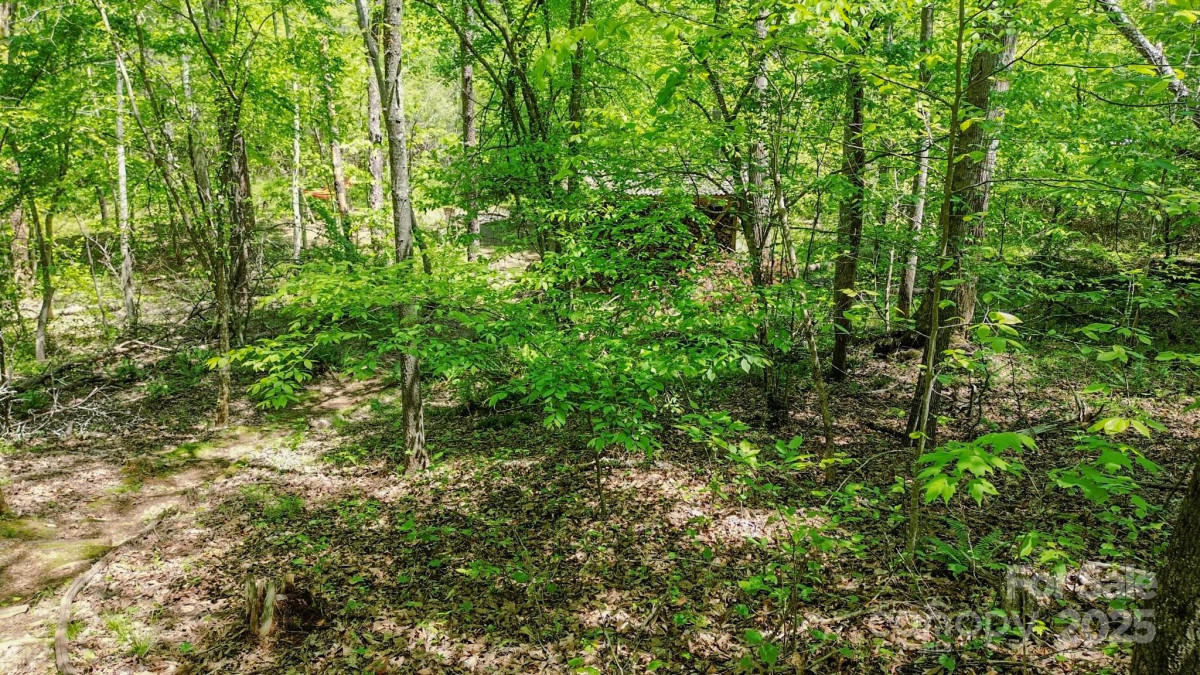 164 Forest Ridge Dr Rutherfordton, NC 28139