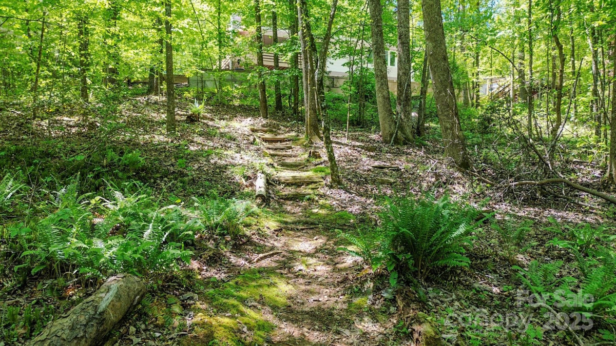 164 Forest Ridge Dr Rutherfordton, NC 28139