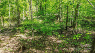 164 Forest Ridge Dr Rutherfordton, NC 28139