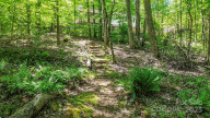 164 Forest Ridge Dr Rutherfordton, NC 28139
