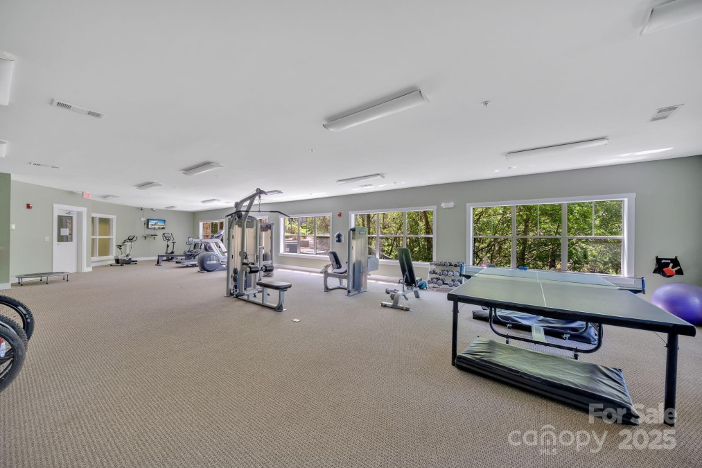 9 Kenilworth Knoll Asheville, NC 28805