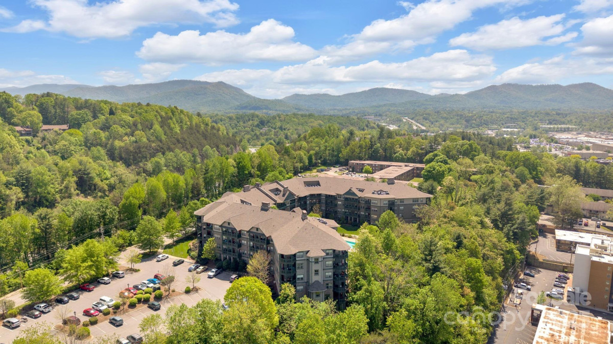 9 Kenilworth Knoll Asheville, NC 28805