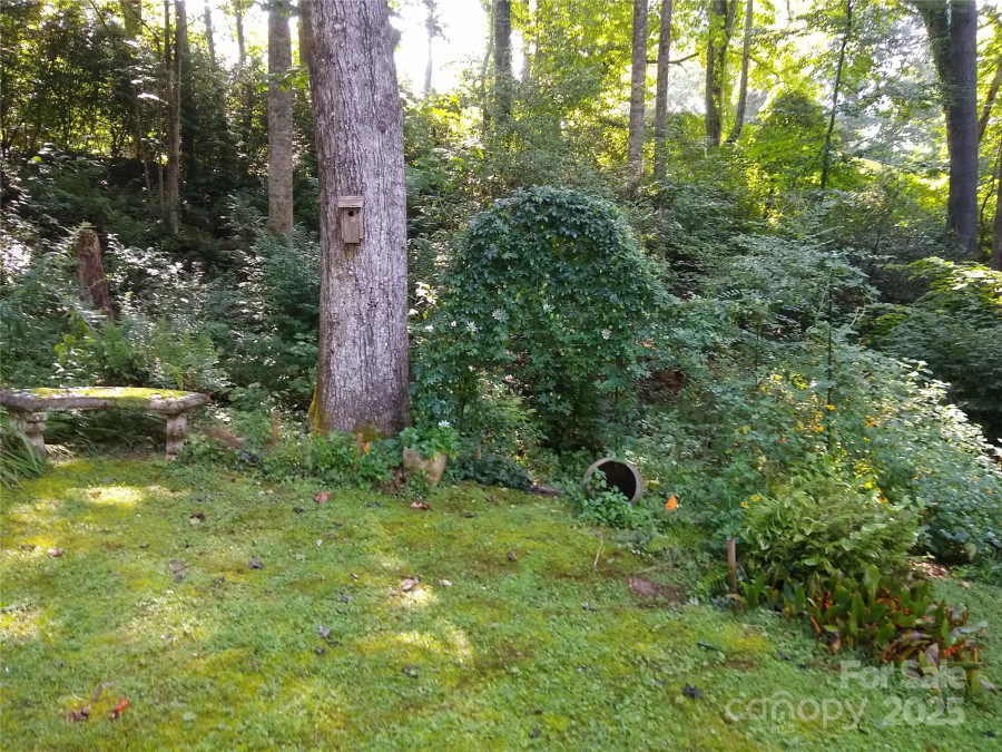 99 Meadowbrook Cir Brevard, NC 28712
