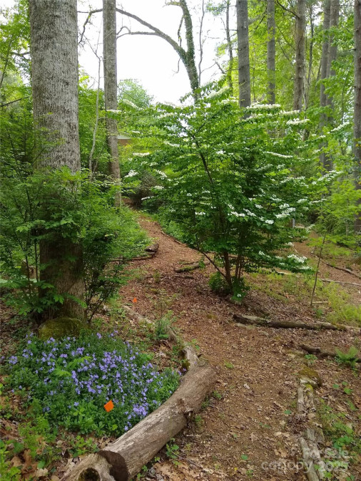 99 Meadowbrook Cir Brevard, NC 28712
