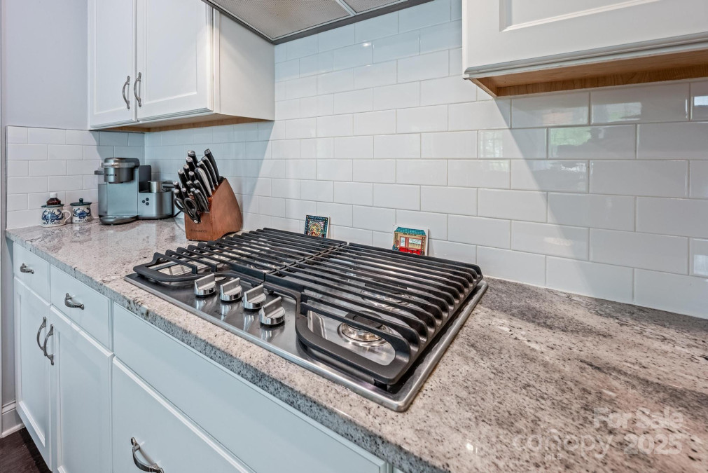 3992 Blue Dory Ln Denver, NC 28037