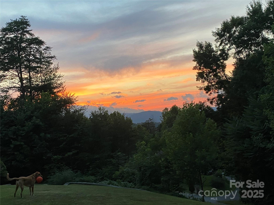 89 Bobcat Pa Marion, NC 28752