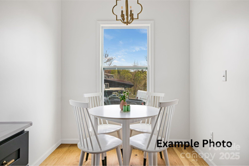 4 Chestnut Ave Asheville, NC 28804